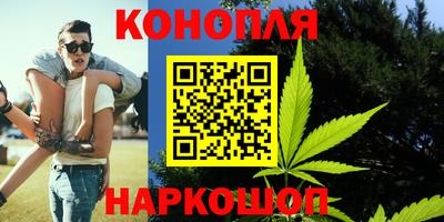 дживик Кингисепп