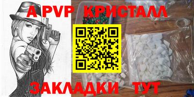 дживик Кингисепп