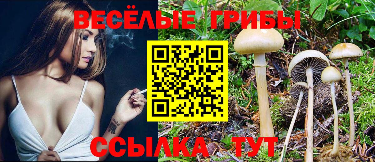Псилоцибиновые грибы MAGIC MUSHROOMS Менделеевск