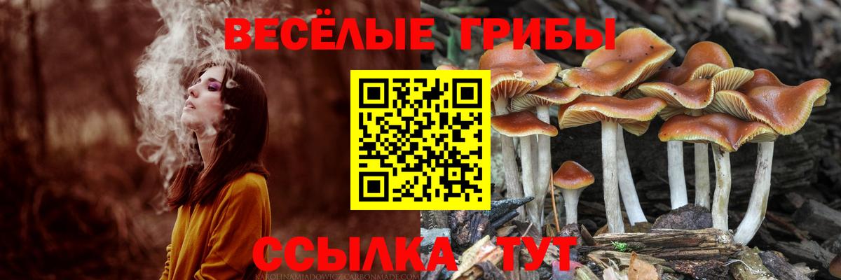 Псилоцибиновые грибы MAGIC MUSHROOMS  Вход с VPN  Менделеевск 